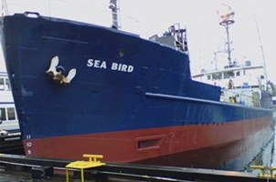 Seabird ship