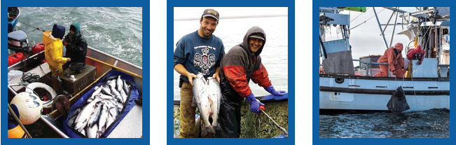 YakutatSeafoods.jpg