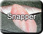 Snapper